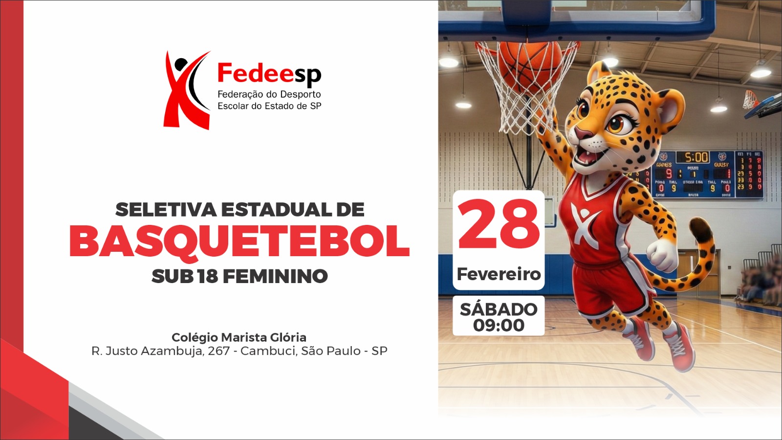 banner-basquete-fedeexpo